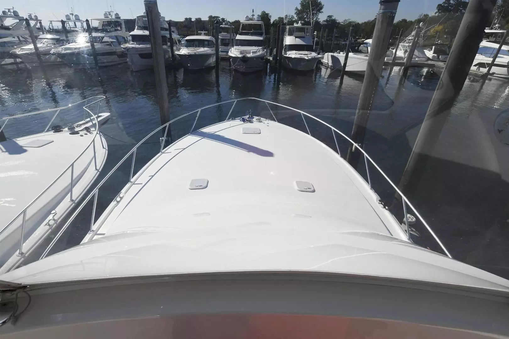 Viking 48 Convertible-2018 -Staten Island-New York-United States 3489824