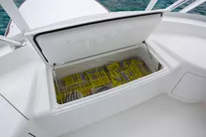 Flybridge Freezer
